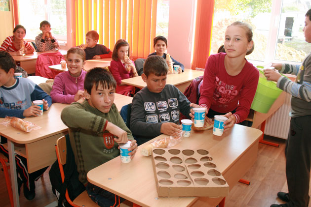 CJ Sălaj a demarat procedurile de licitații pentru ”Laptele și cornul”