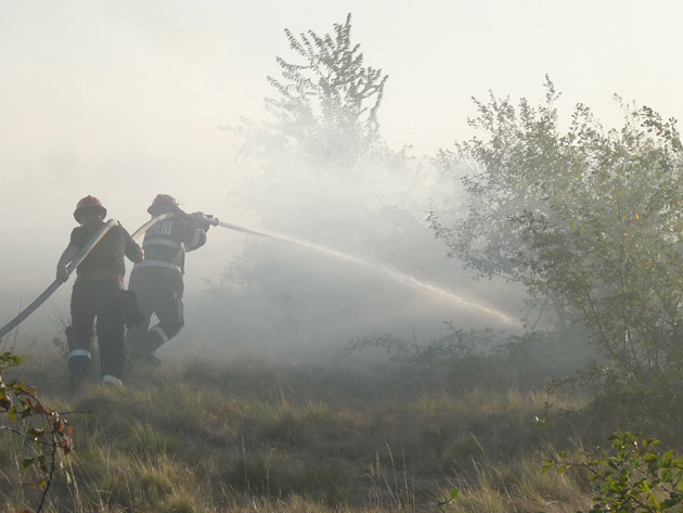 Pompierii sătmăreni, în luptă cu incendiile de pădure