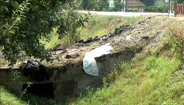 Viteza le-a adus sfârşitul