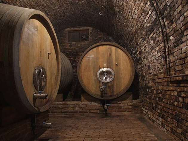 Un minor şi doi bărbaţi au furat vinul unei sexagenare