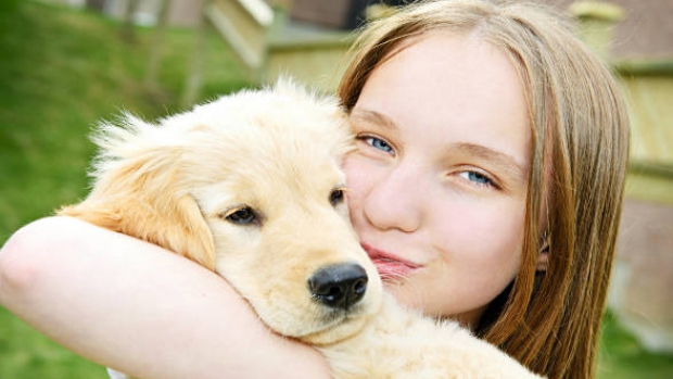 Şi-au găsit stăpâni