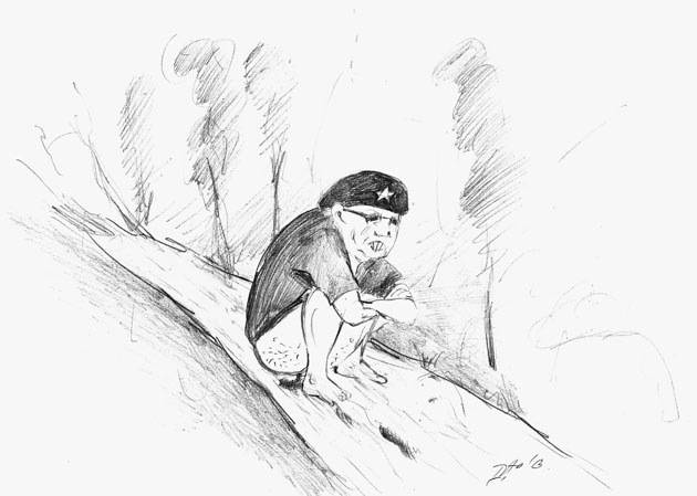 Un nou abuz a la Castorică