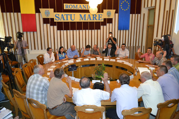 Afişaj stradal gratuit pentru instituţiile subordonate Primăriei Satu Mare