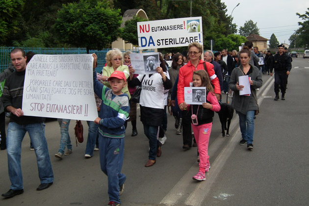 Sătmărenii spun un NU hotărât eutanasierii