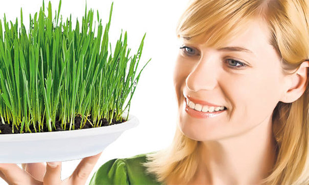 Cura de orz pentru o inima sanatoasa