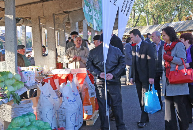 Concurs de frumuseţe pentru cabaline  şi bovine la Tăşnad