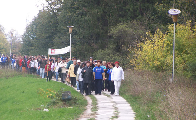 Bătălia pentru bătaia inimii, câştigată de sătmăreni