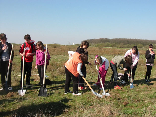 Consiliul Judeţean iniţiază o amplă campanie de împădurire