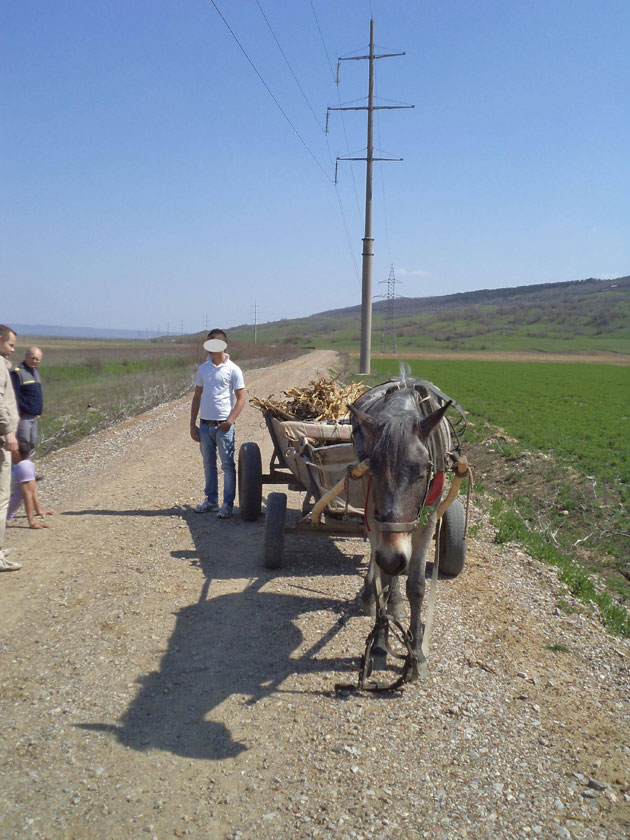 Hoţii culeg roadele agricultorilor