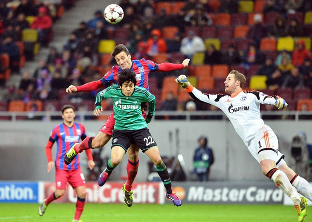 Nemţii îl fac „măcelar profesionist“ pe arbitrul de la Steaua - Schalke