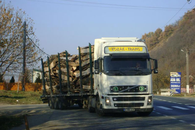 Ungurii ne cumpără ieftin lemnele