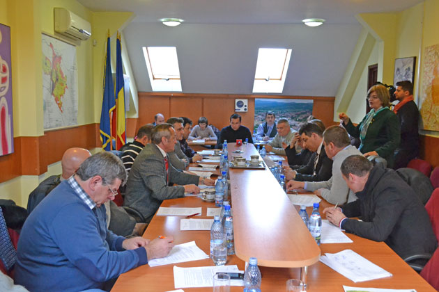 Privaţii ar putea asigura ordinea publică în Negreşti