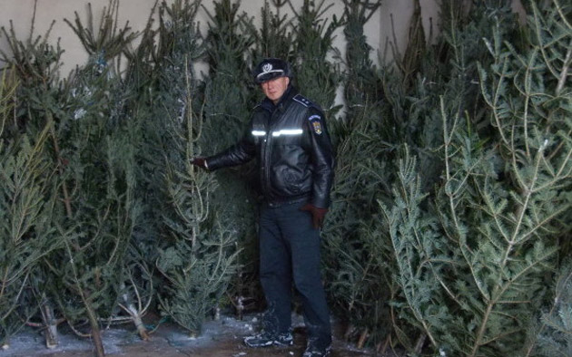 Poliţia declară RĂZBOI comerţului ILEGAL cu brazi