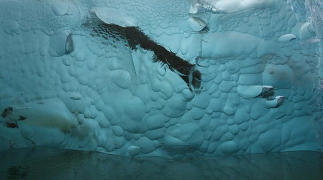 DESCOPERIRE neaşteptată în Antarctica: Vulcan activ, descoperit sub 1.000 de metri de gheaţă