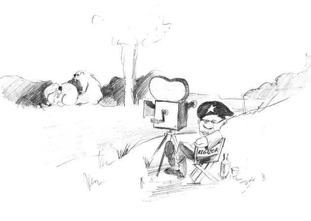 Castorul delator,  mare distilator