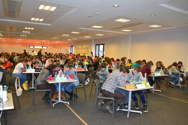 Şase şcoli sătmărene la faza internaţională a concursului “Viaţă pentru mediu, viaţă pentru om”