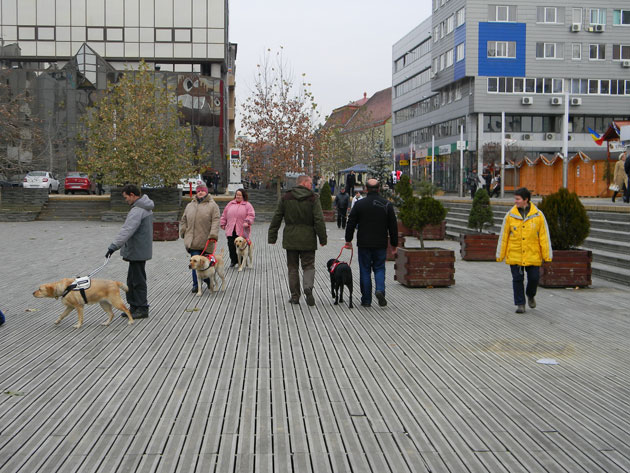 Fragmente din viaţa nevăzătorilor, prezentate într-un “forum stradal”