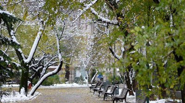 VREMEA până pe 26 ianuarie