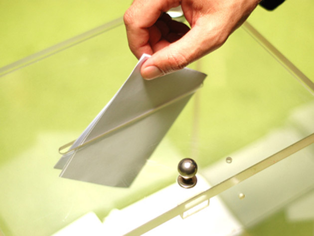 USL a decis organizarea referendumului pentru Constituţie simultan cu europarlamentarele