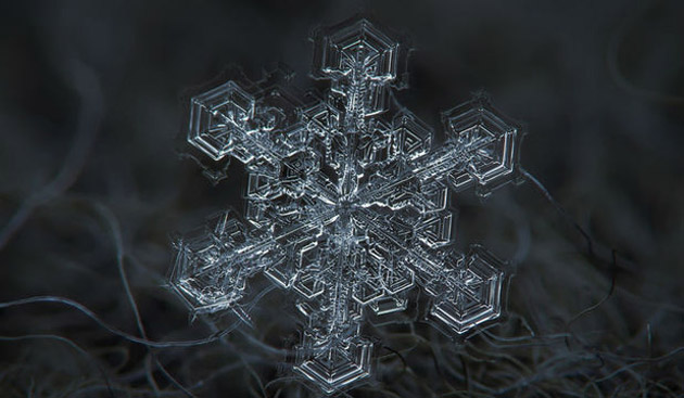 Spectacol de iarnă: fulgii de zăpadă aşa cum nu i-ai mai văzut niciodată