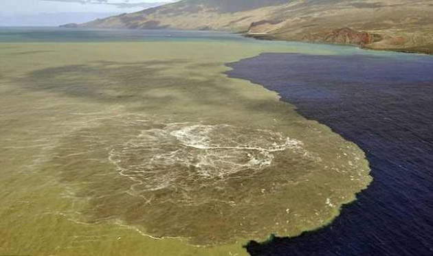 O noua insula in Arhipelagul Canare?