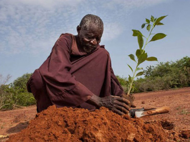 Africanul care a împădurit deşertul
