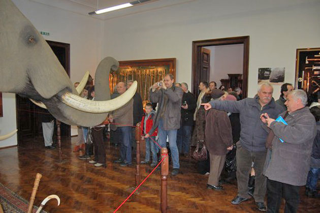 Colecţie de arme şi trofee  din Africa la Castelul Karolyi