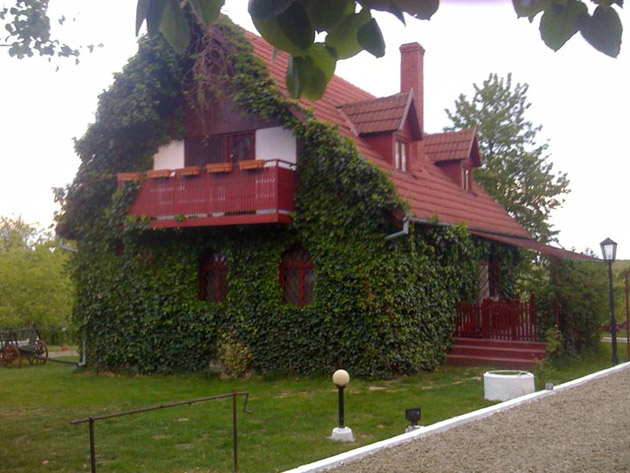 Primarul Coica vrea să facă ordine în Bercu Roşu