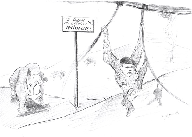 Castorul parazitează  în continuare