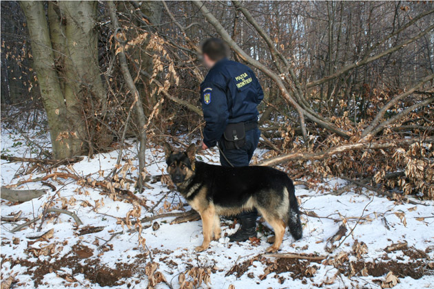 Contrabandiştii sar la gâtul frontieriştilor