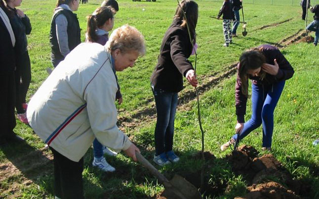 Fostele depozite de deşeuri  vor fi împădurite