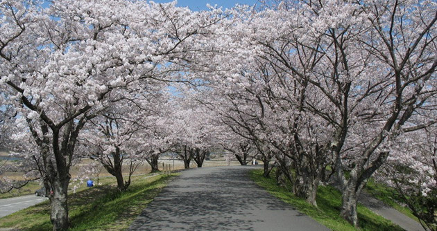 Prognoza meteo pe TREI LUNI!