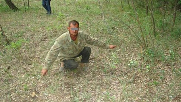 Au defrişat pădurea unui consătean