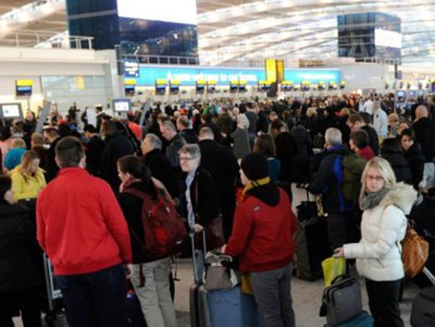 Două românce care aveau în bagaje 13 iguane foarte rare au fost arestate pe aeroportul Heathrow