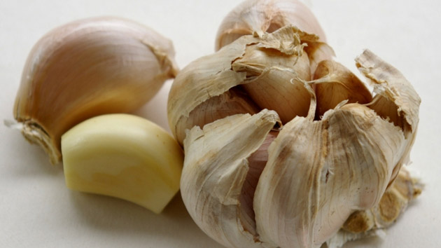 USTUROIUL, alimentul-minune