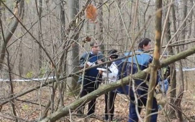 Şi-a pierdut viaţa strivit  de un buştean în pădure