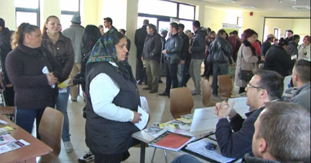 Bătaie pe locurile de muncă la Carei