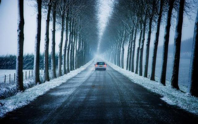 Perdele forestiere pe marginea drumurilor