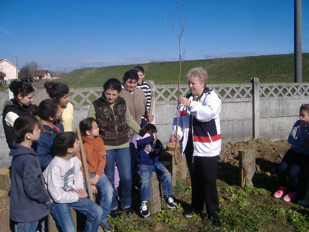 Douăzeci şi şase de mesteceni plantaţi la Casa “Ştefania” din Oar