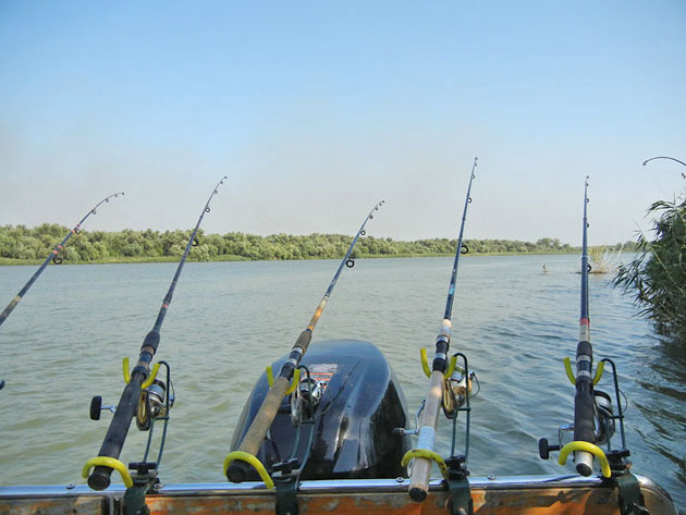 Începe prohibiţia la pescuit