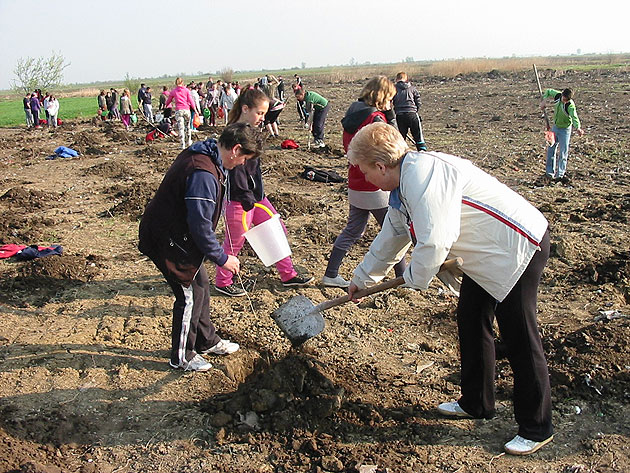 Peste 18.000  de puieţi vor fi  plantaţi la Căpleni