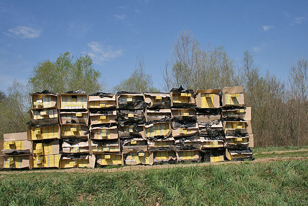 Captură impresionantă de alcool şi ţigări de contrabandă