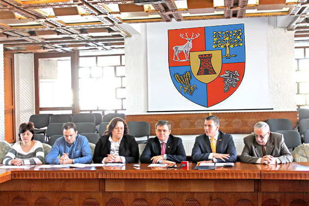 Judeţul Satu Mare are o stemă oficială