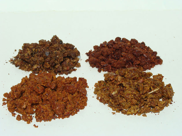 Ce boli poţi trata cu ajutorul propolisului