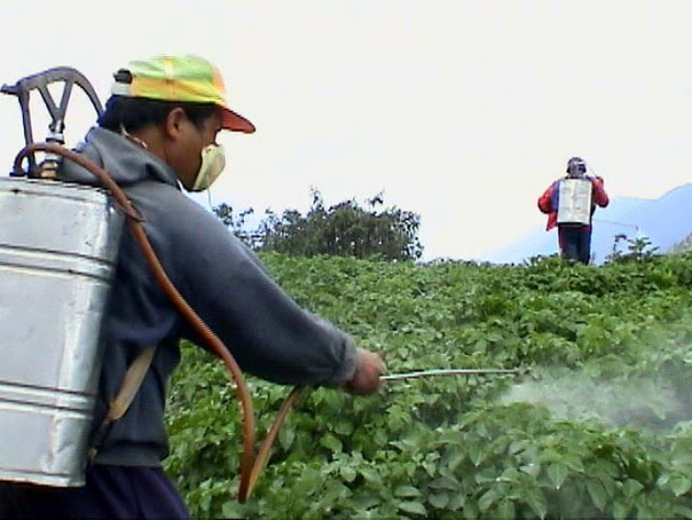 De ce să te fereşti când mergi la piaţă – află care sunt alimentele ce conţin pesticide