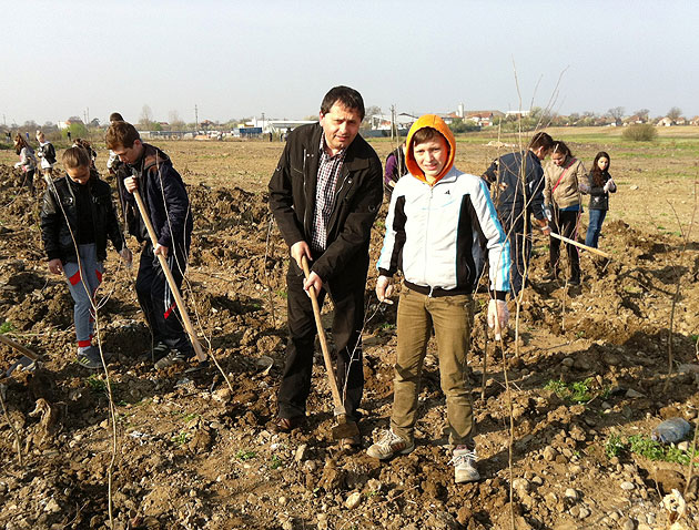 Stejari în locul gunoaielor  la Livada