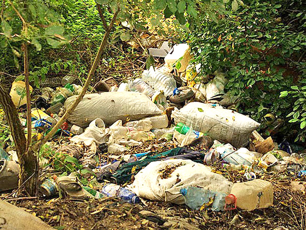 Saci cu resturi de animale descoperiţi în canalul Homorod