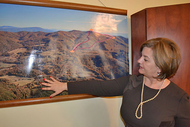 Licitație pentru vânzarea de terenuri pentru spații de cazare și restaurante la Luna Șes