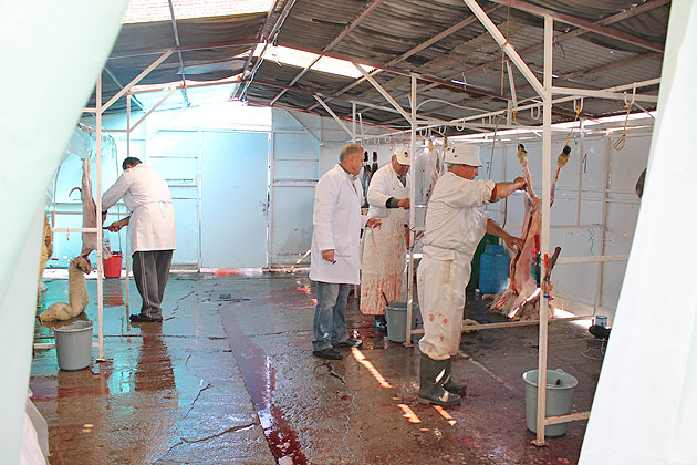 Măcel în Piaţa de Vechituri la mieii de Paşte