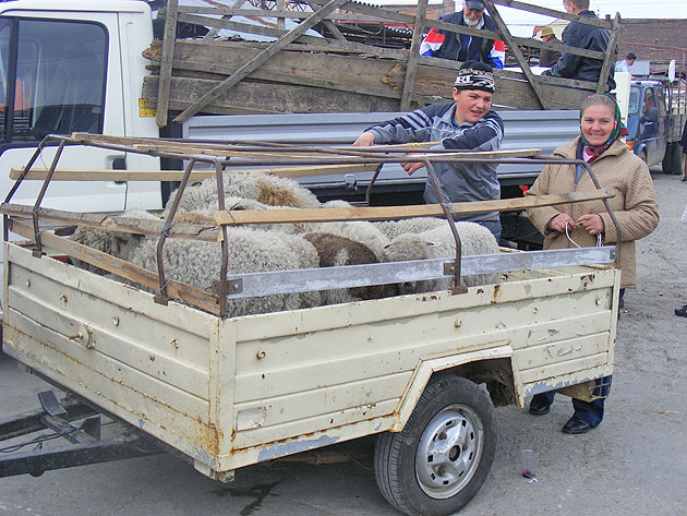 Mieii de Paşte nu se scumpesc